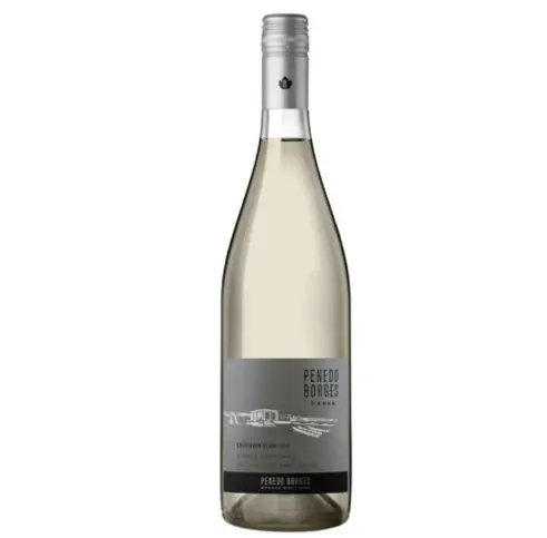 Penedo Borges Blanc de Malbec