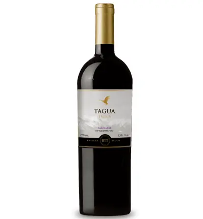 Tagua Tagua Carménerè 2020